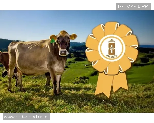 新西兰哈密尔顿迎来盛大世界牛奶大赛展现全球乳制品精华